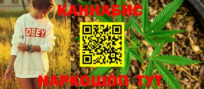 шишки Сланцы