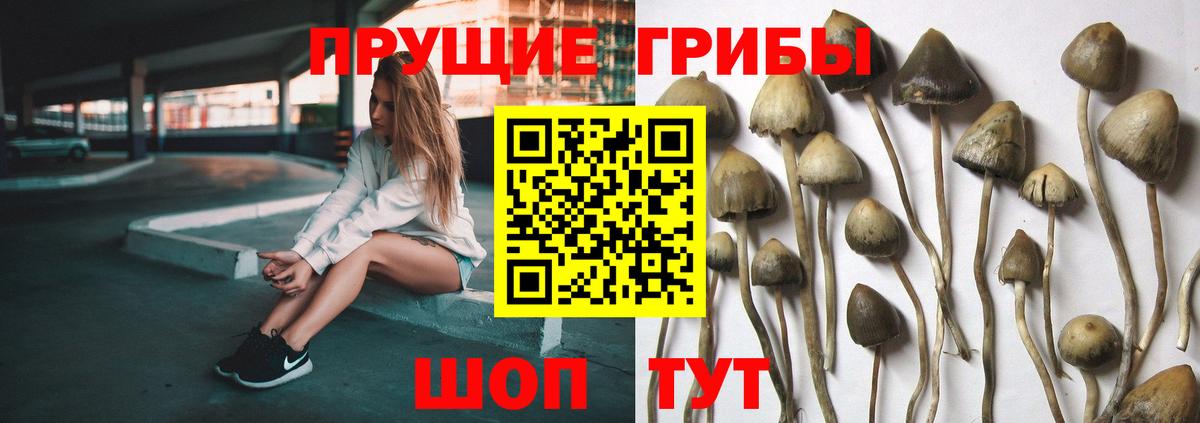 Назарово  Галлюциногенные грибы ЛСД  Вход с VPN 