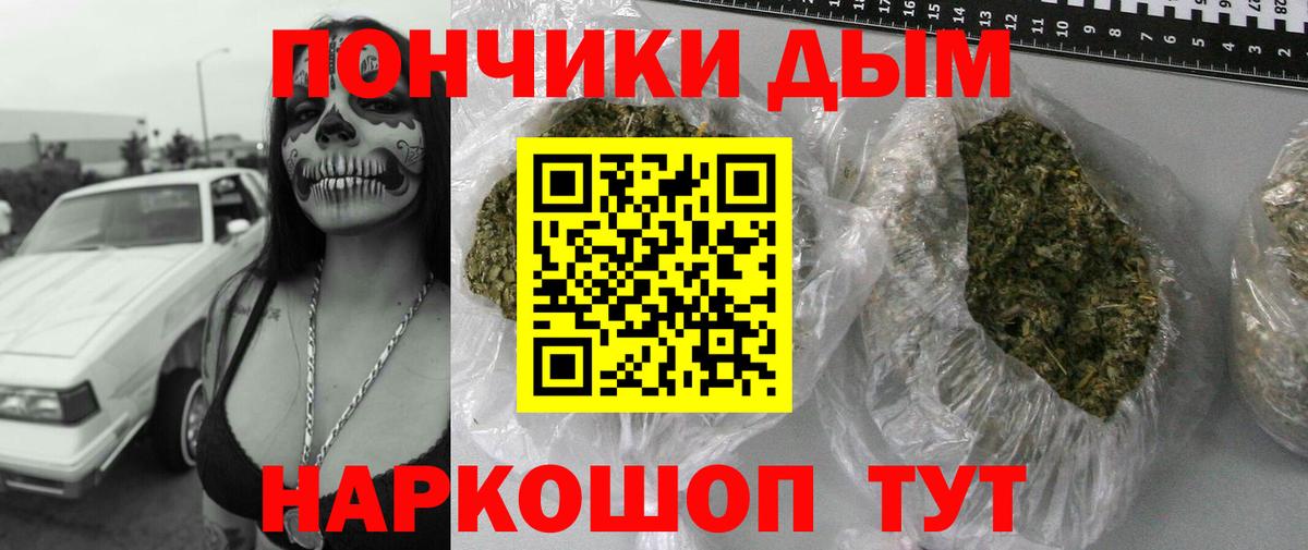 Каннабис план Назарово